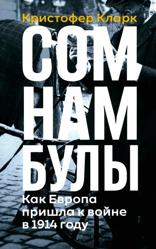 Сомнамбулы: Как Европа пришла к войне в 1914 году