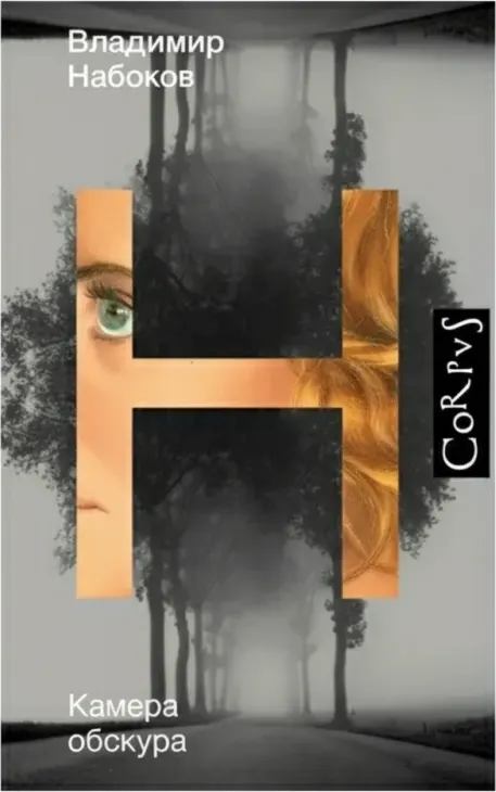 Камера обскура