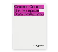 В то же время: Эссе и выступления