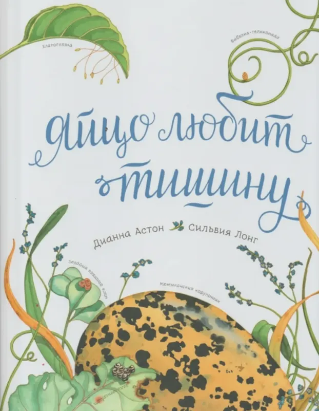 Яйцо любит тишину