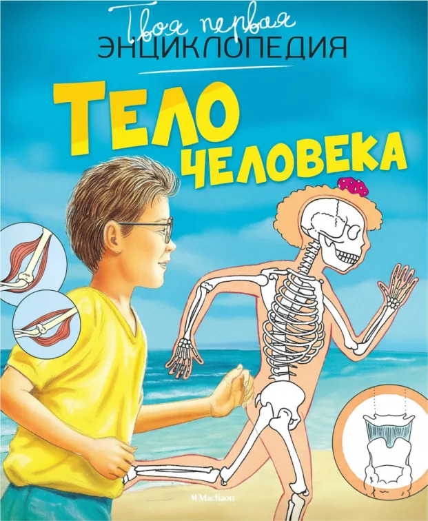 Тело человека