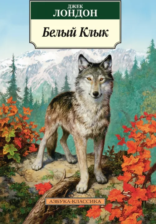 Белый Клык